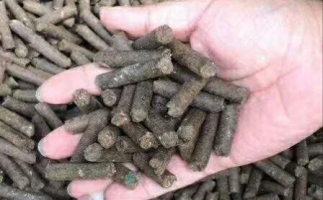 水果渣越來越受歡迎，因為它的出現(xiàn)—生物質(zhì)顆粒機設備