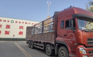 忙碌的五月，忙碌的發(fā)貨，金格瑞顆粒機生產(chǎn)線發(fā)往全國各地