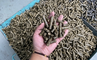 木屑顆粒機廠家告訴你生物質(zhì)顆粒燃料燃燒不充分的問題，該如何解決?