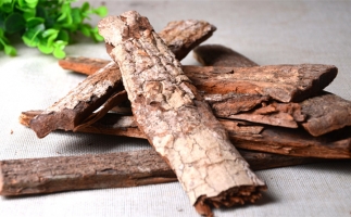 木材加工廠的廢棄物刨花能夠用來做什么？鋸末顆粒機(jī)告訴你