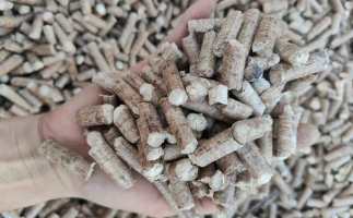 木材加工廠木屑堆積如山，環(huán)保部門(mén)令趕緊處理怎么辦？有它就夠了