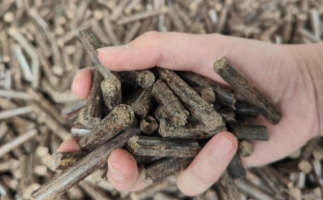 木屑燃料顆粒熱值多少大卡，完全取決于燃料的原料